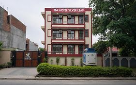 Hotel Silver Leaf, Noida